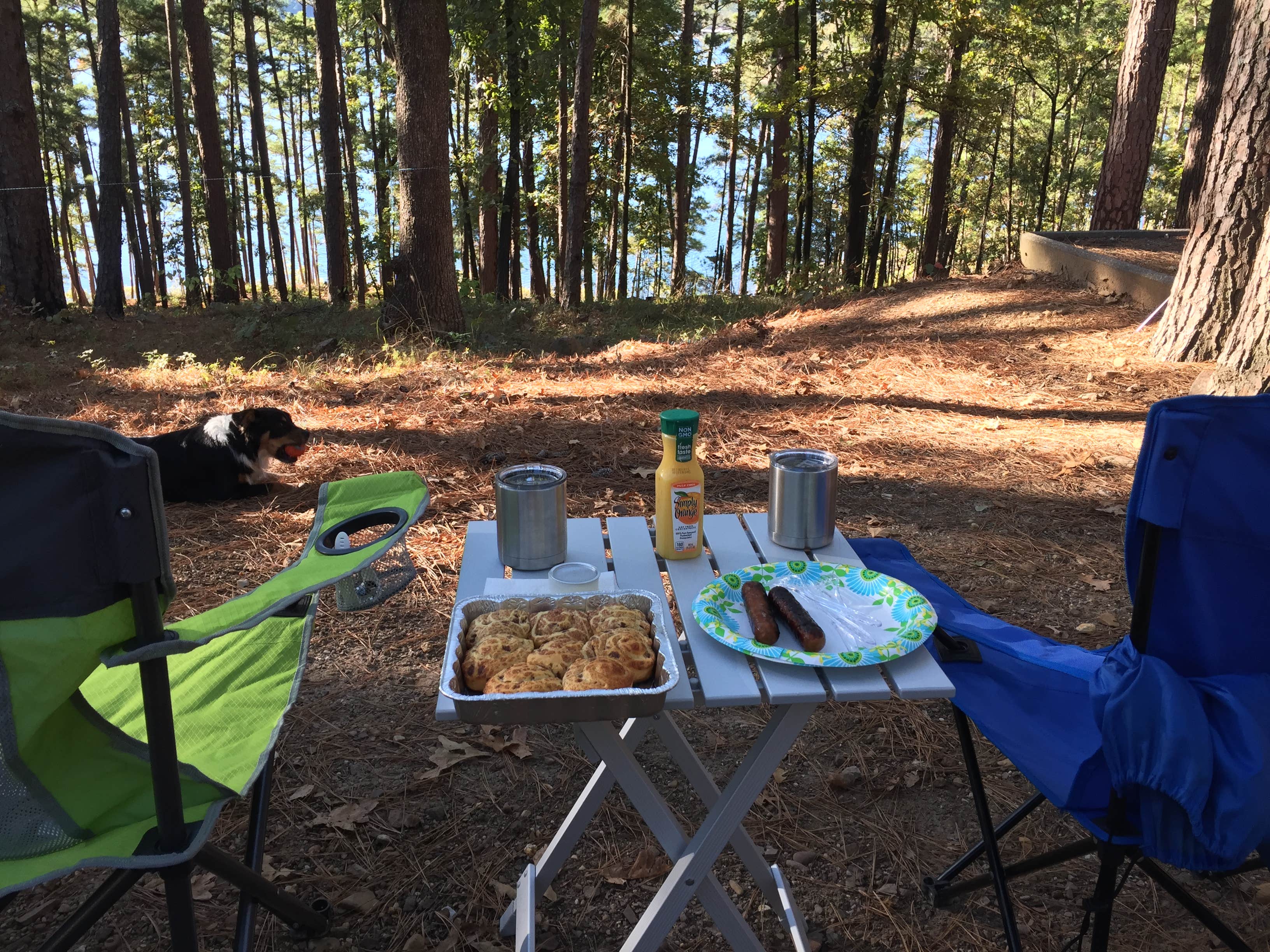 Alison C.'s photo at Iron Mountain near Malvern, AR