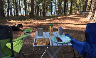 Alison C.'s photo at Iron Mountain near Chidester, AR