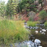 Review photo of Ukiah-Dale Forest State Scenic Corridor by Jill R., October 3, 2018