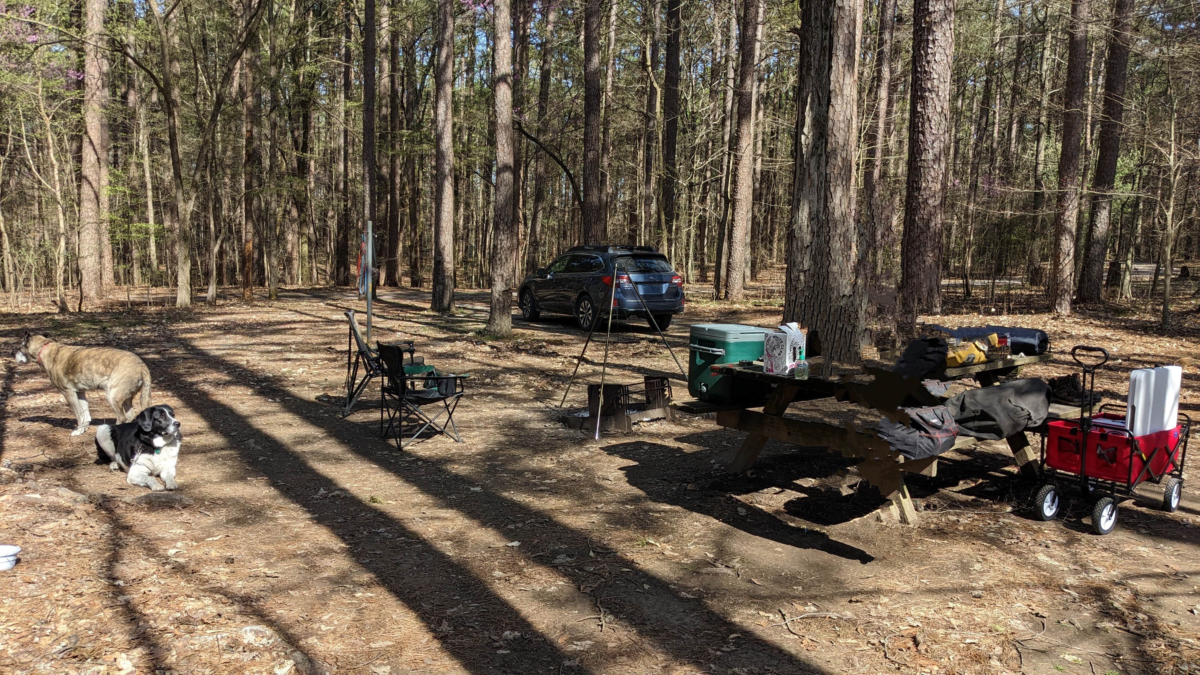 Ode2joy's photo of camping with pets at Redbud Campground at Bell Smith Springs near Morganfield, KY