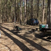 Review photo of Redbud Campground at Bell Smith Springs by Ode2joy , April 12, 2023
