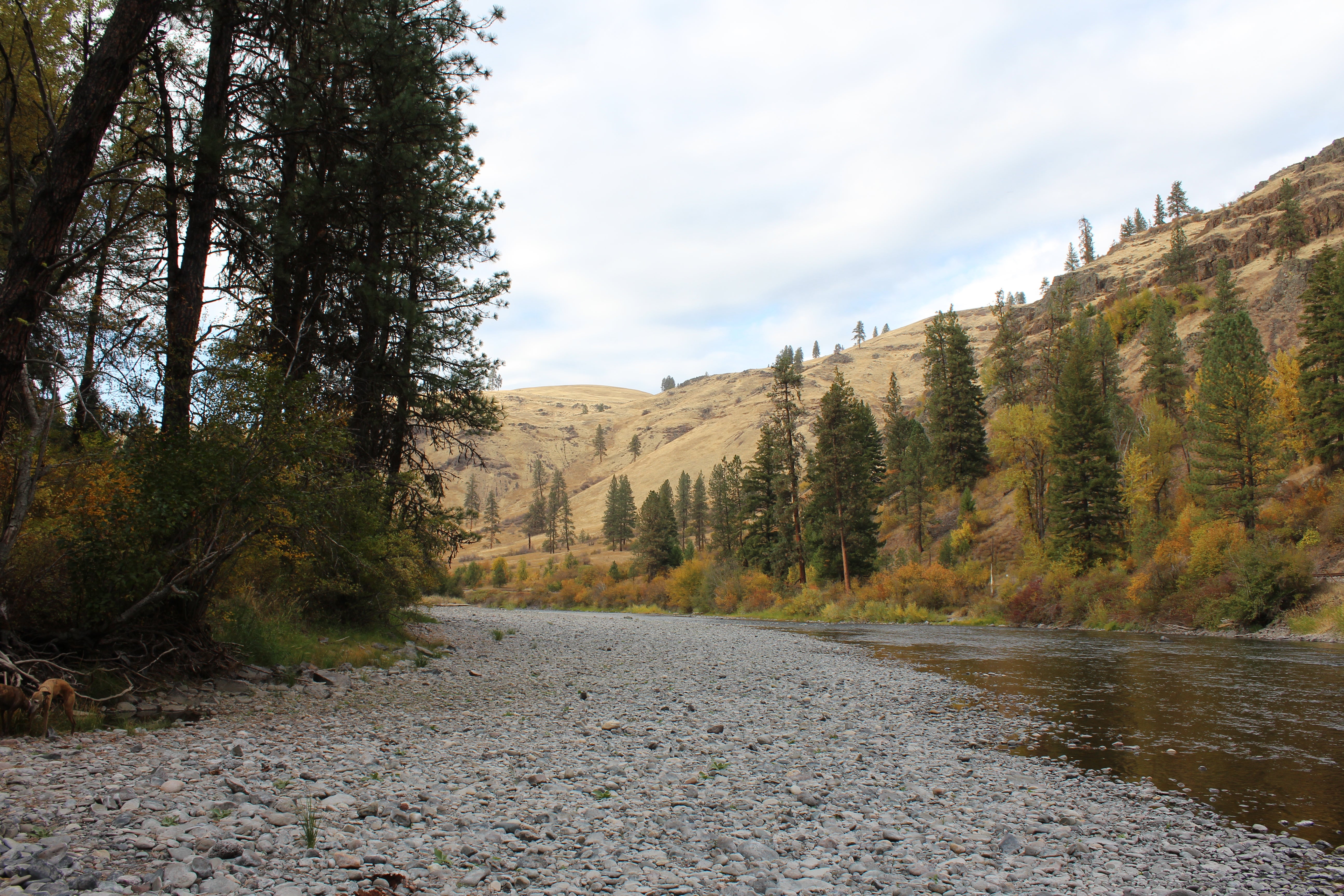 Short hike down to the Wallowa River and outstanding scenery.