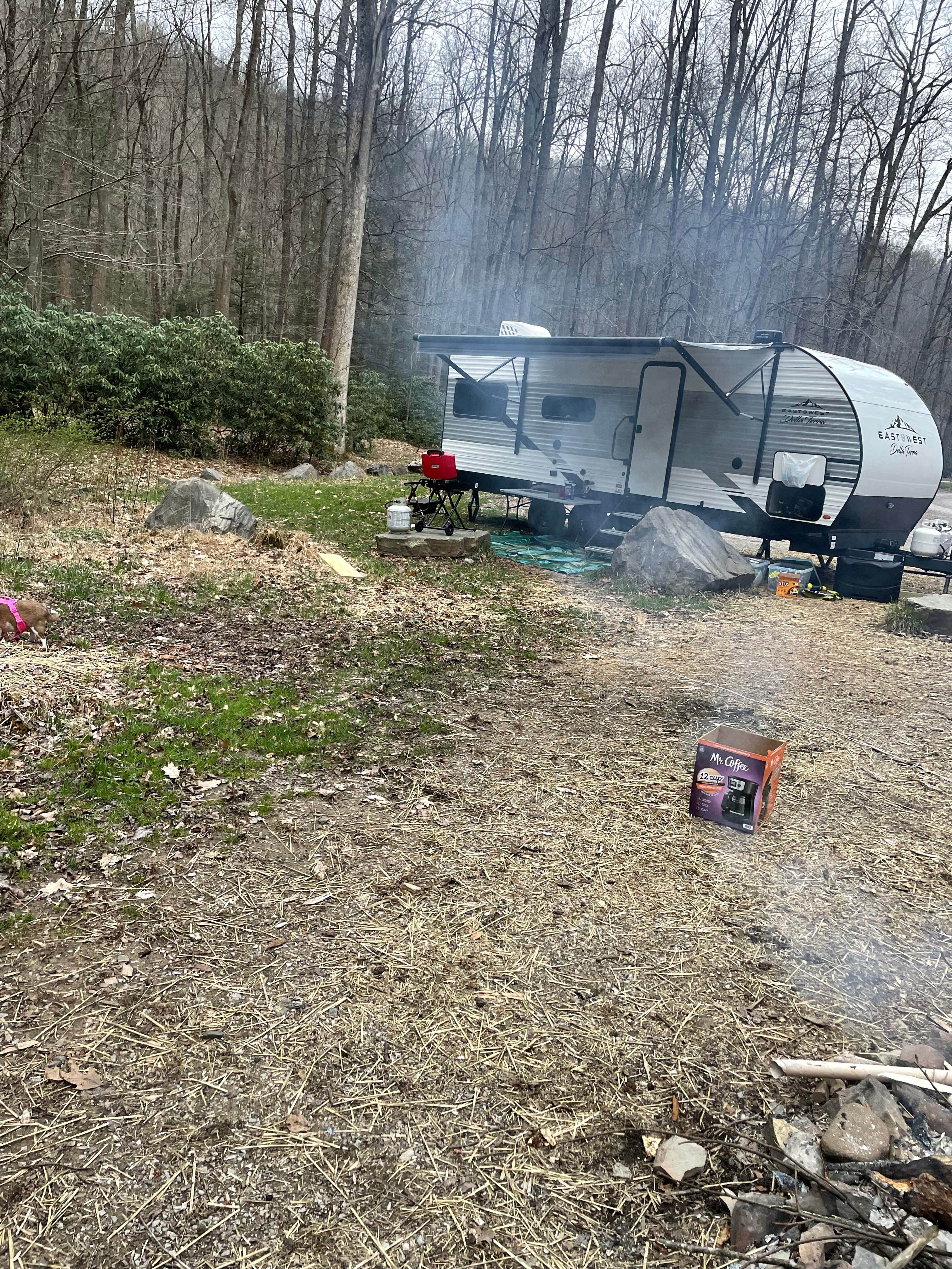 Camper-submitted photo at Lower Glady Dispersed Campground near Glady, WV