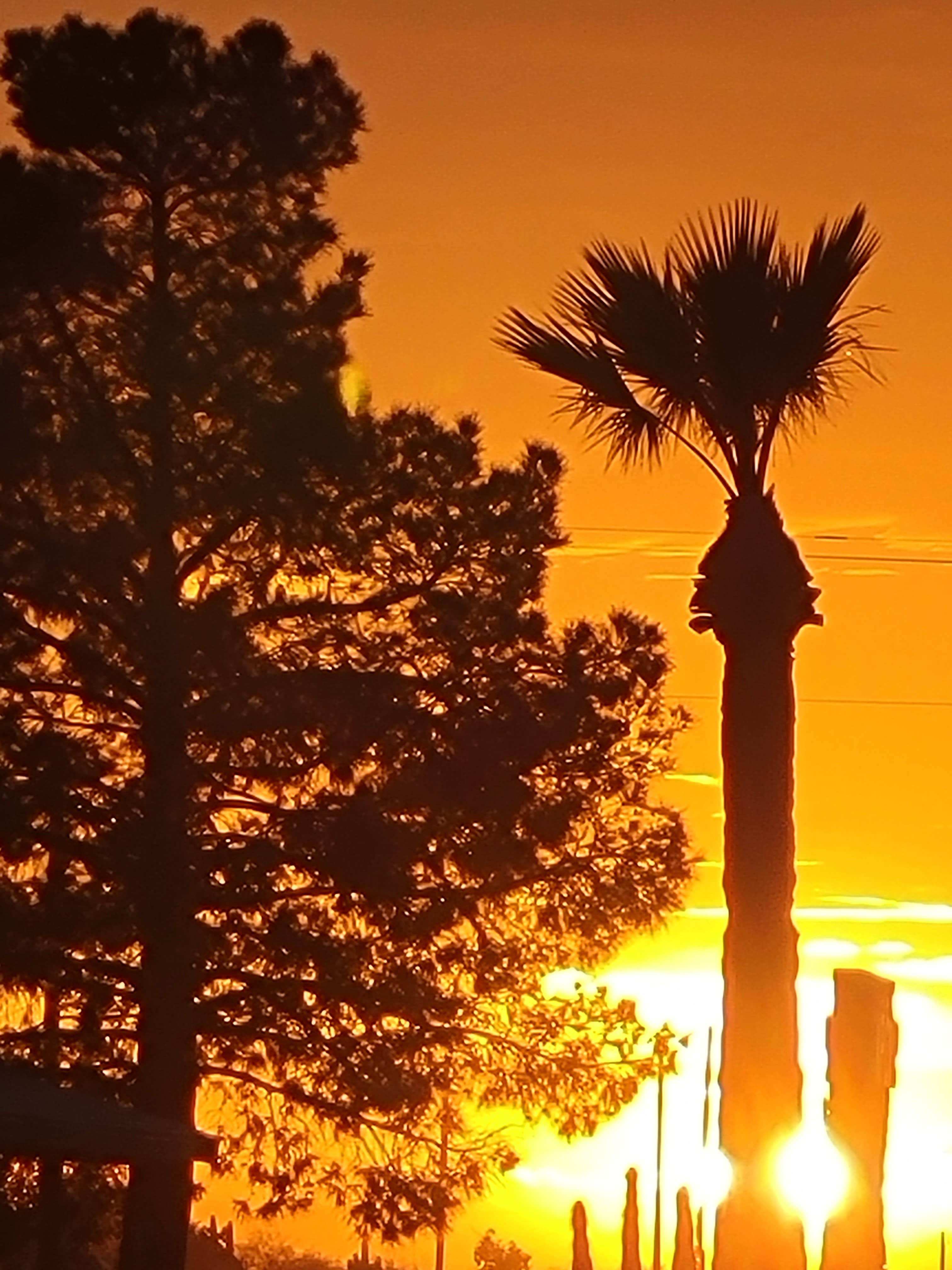 Camper-submitted photo at RoVer's Roost SKP Park near Arizona City, AZ