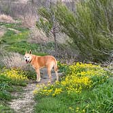 Review photo of Cedar Hill State Park Campground by Duncan G., April 12, 2023