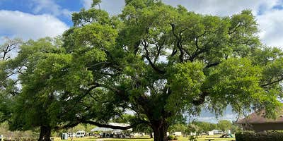 Camper submitted image from Paragon Casino Resort