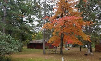 Amy G.'s photo of a cabin at R & D Resort & Campground near Akeley, MN