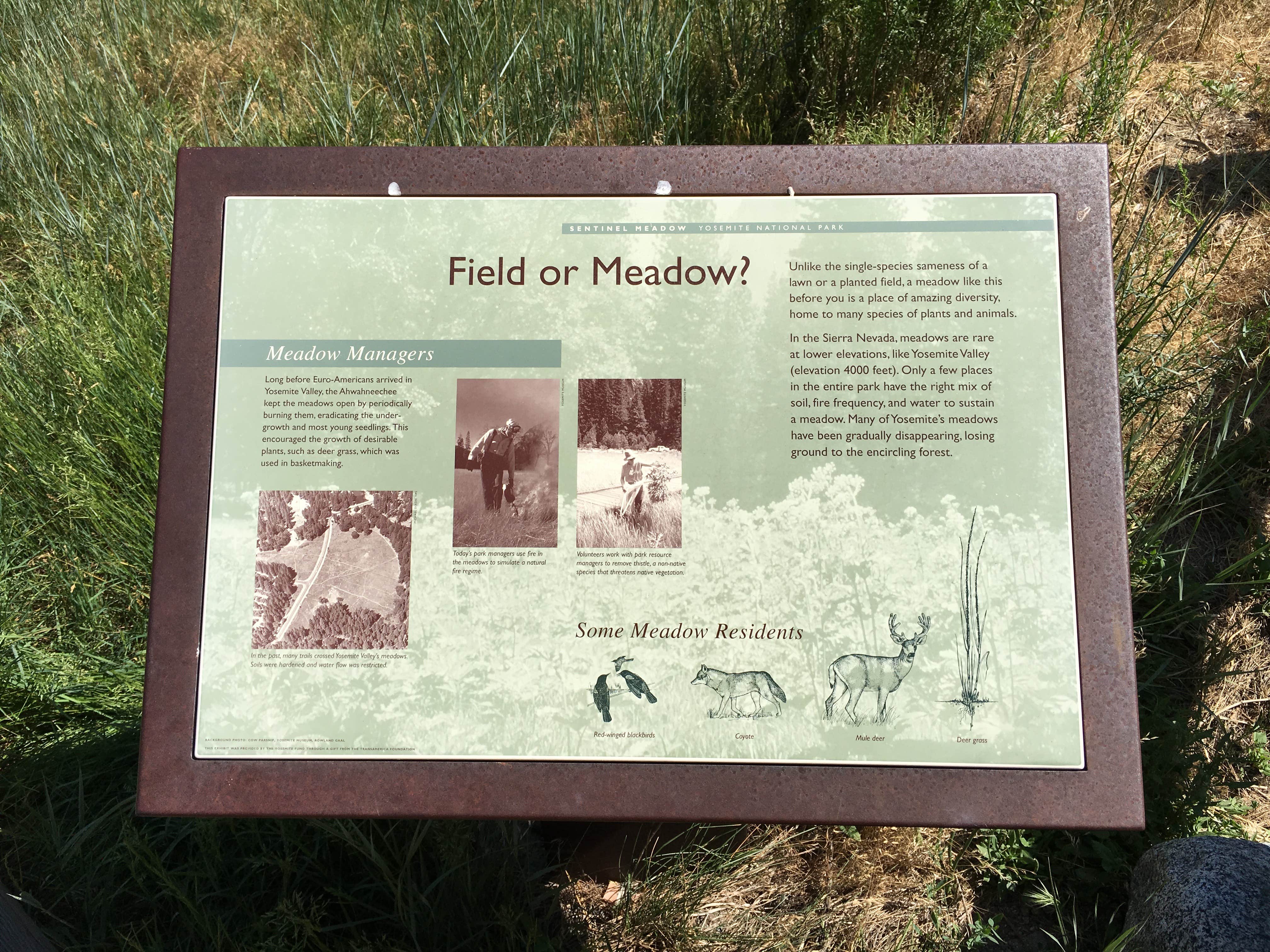 Signs & Maps