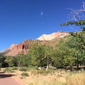 Review photo of South Campground — Zion National Park by Kelsey M., October 3, 2018