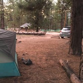 Review photo of Sunset Campground by Kelsey M., October 3, 2018