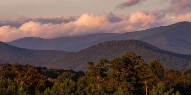 Camper submitted image from McDermit RV Park