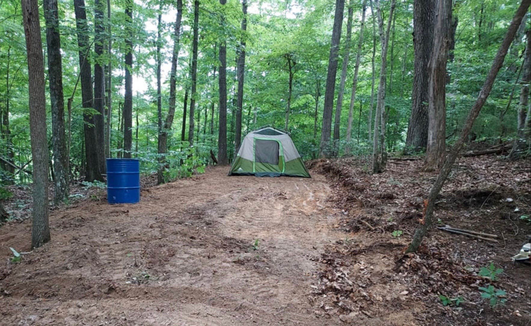 Camper-submitted photo at McDermit RV Park near Carthage, TN