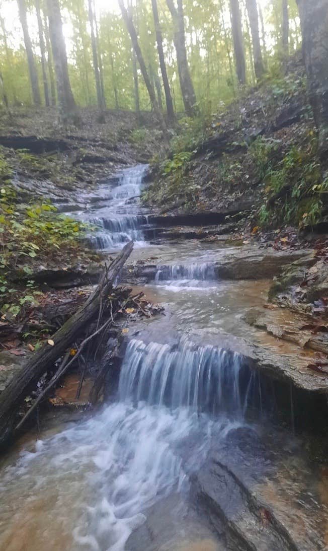 Camper-submitted photo at McDermit RV Park near Carthage, TN