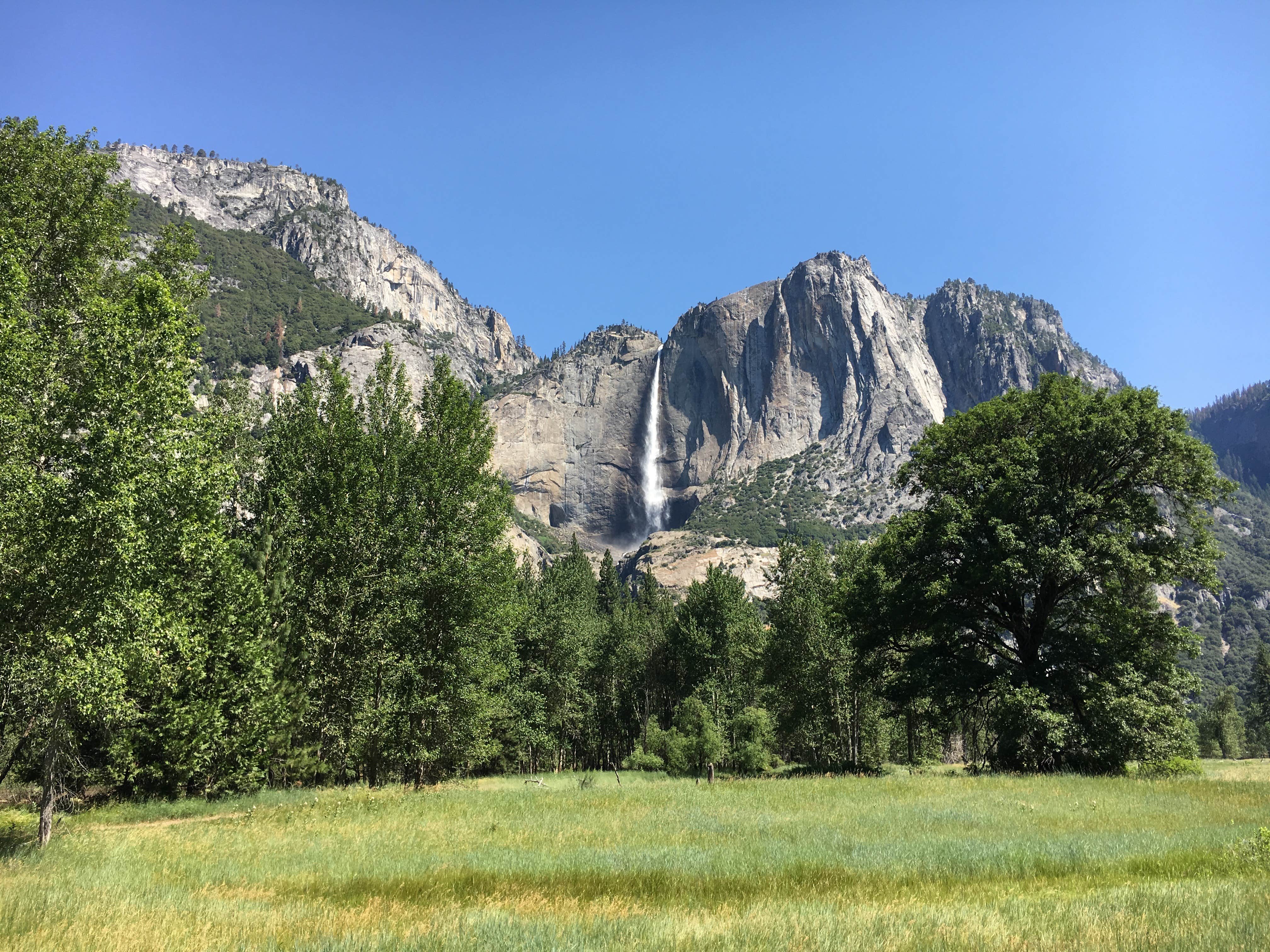 Camper submitted image from Yosemite West / Mariposa KOA (Midpines, CA) - PERMANENTLY CLOSED - 2