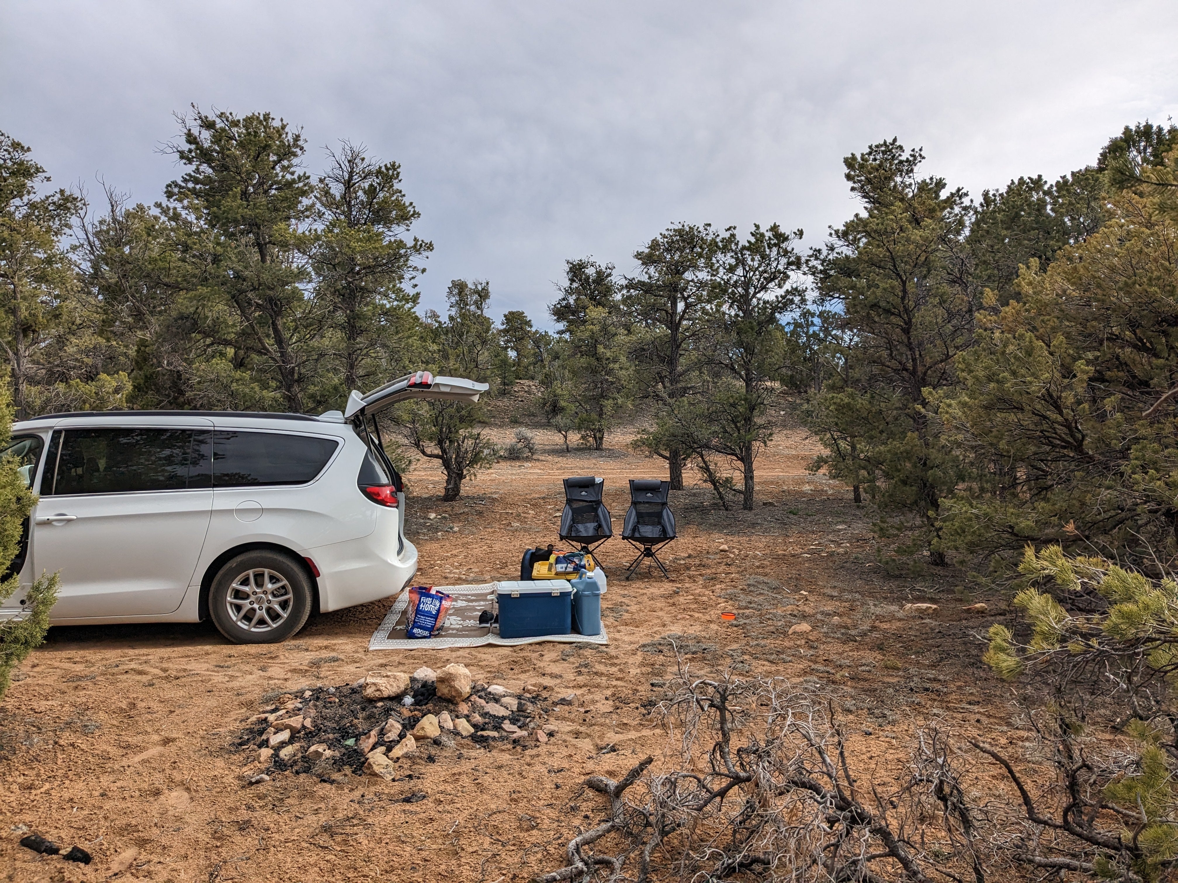 Camper submitted image from Kaibab Forest Dispersed FR 682  - 4
