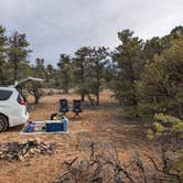 Review photo of Kaibab Forest Dispersed FR 682 by Fern B., April 13, 2023