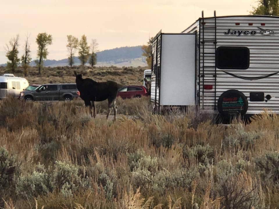 Lynn G.'s photo of rv camping at Gros Ventre Campground — Grand Teton National Park near Moose, WY