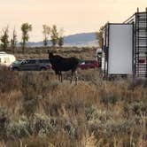 Review photo of Gros Ventre Campground — Grand Teton National Park by Lynn G., April 13, 2023