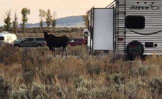 Lynn G.'s photo of rv camping at Gros Ventre Campground — Grand Teton National Park near Moose, WY