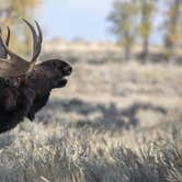 Review photo of Gros Ventre Campground — Grand Teton National Park by Lynn G., April 13, 2023