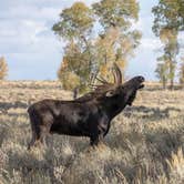 Review photo of Gros Ventre Campground — Grand Teton National Park by Lynn G., April 13, 2023