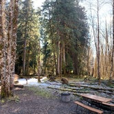 Review photo of Sol Duc Hot Springs Resort Campground — Olympic National Park by Jennifer H., April 13, 2023