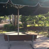 Review photo of Encore Tropical Palms by Jan H., October 3, 2018