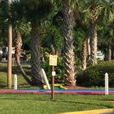 Review photo of Encore Tropical Palms by Jan H., October 3, 2018