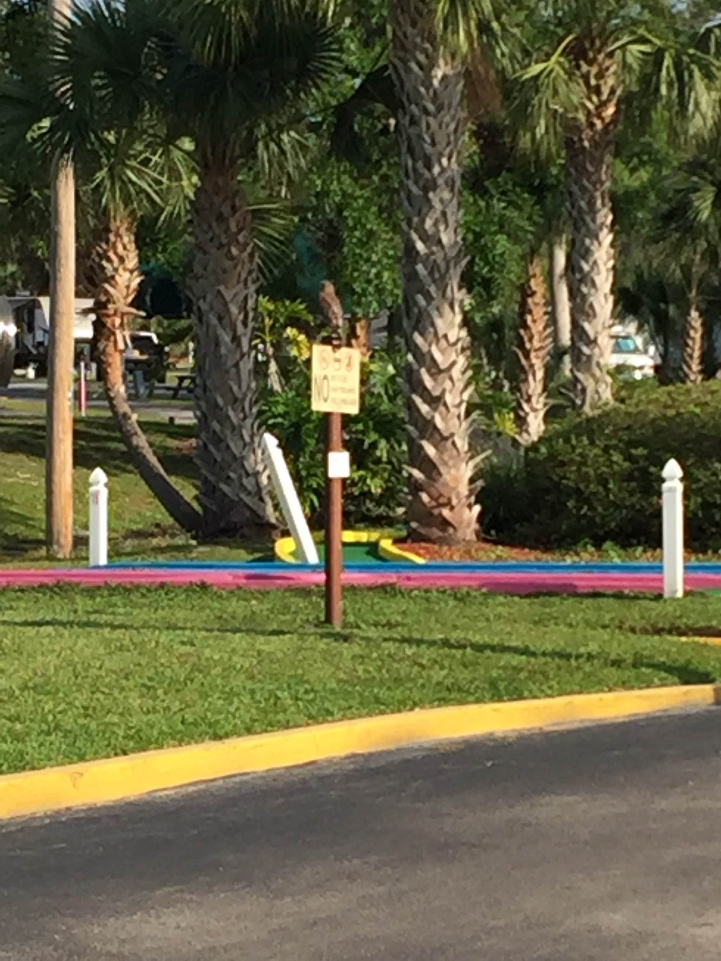 Camper submitted image from Encore Tropical Palms - 4