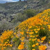 Review photo of Pinnacles Campground — Pinnacles National Park by Lily H., April 13, 2023