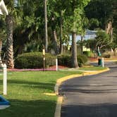 Review photo of Encore Tropical Palms by Jan H., October 3, 2018