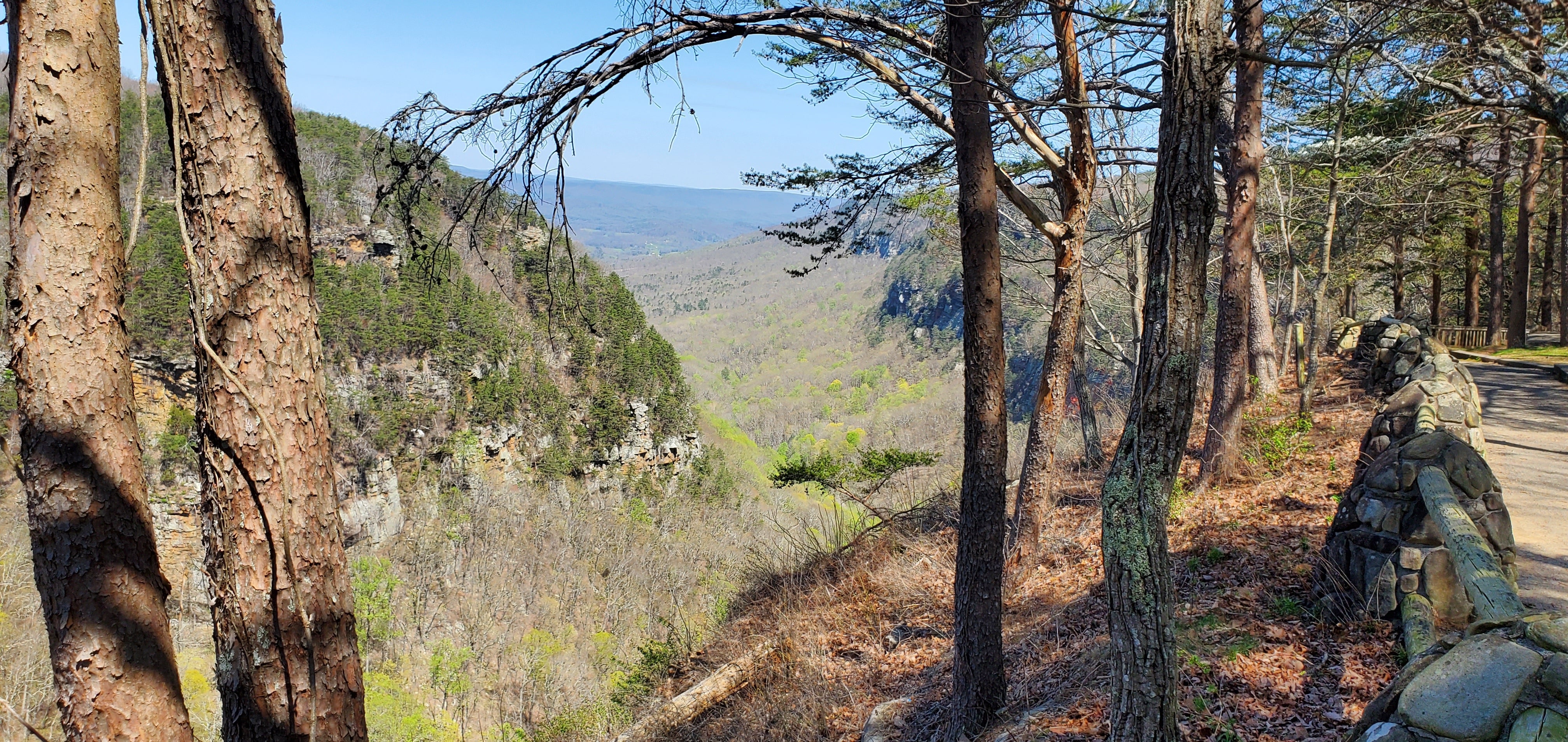 Camper submitted image from Cloudland Canyon State Park - Walk-in Sites - 5