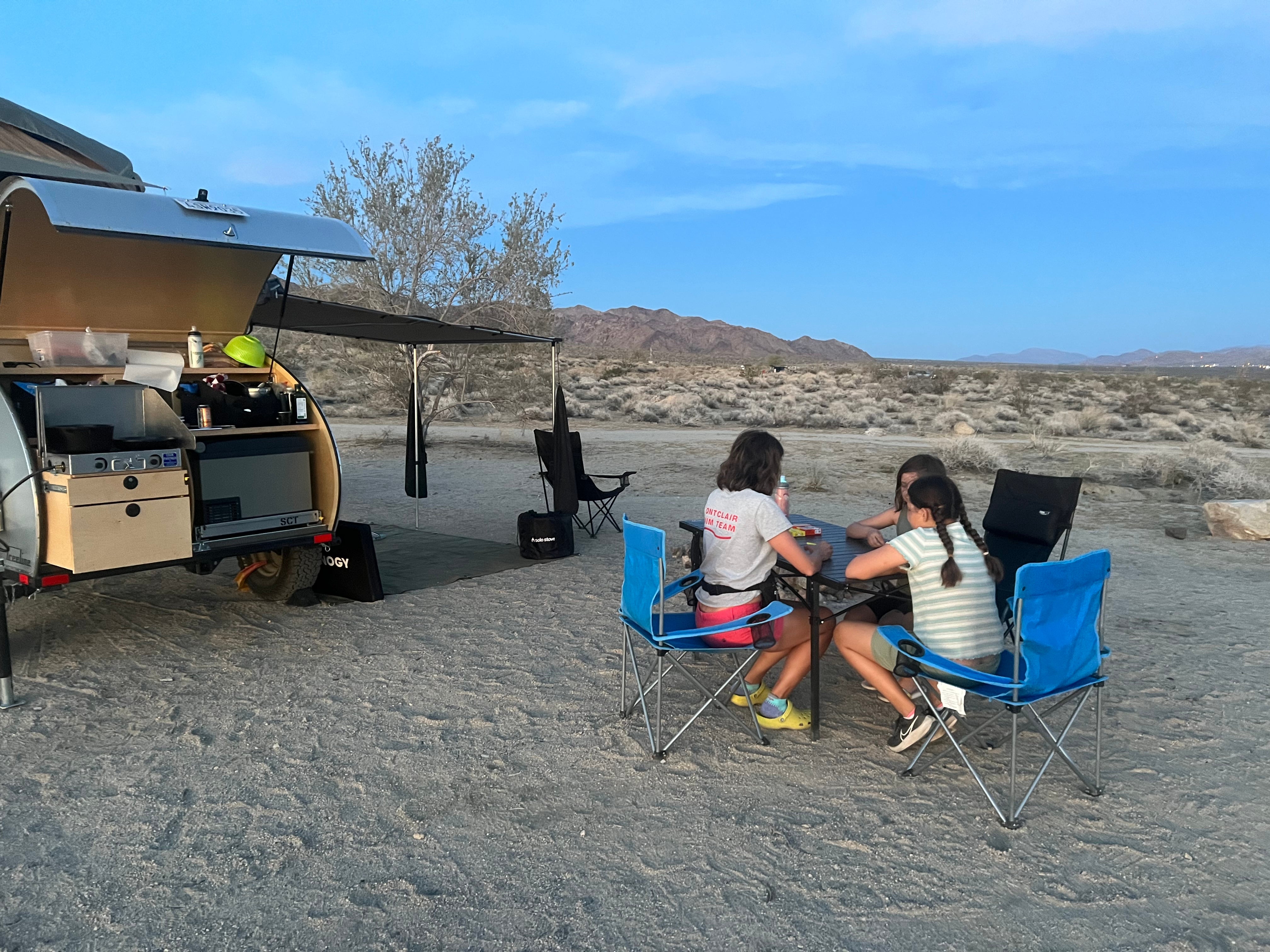 Camper submitted image from Joshua tree BLM by entrance  - 5