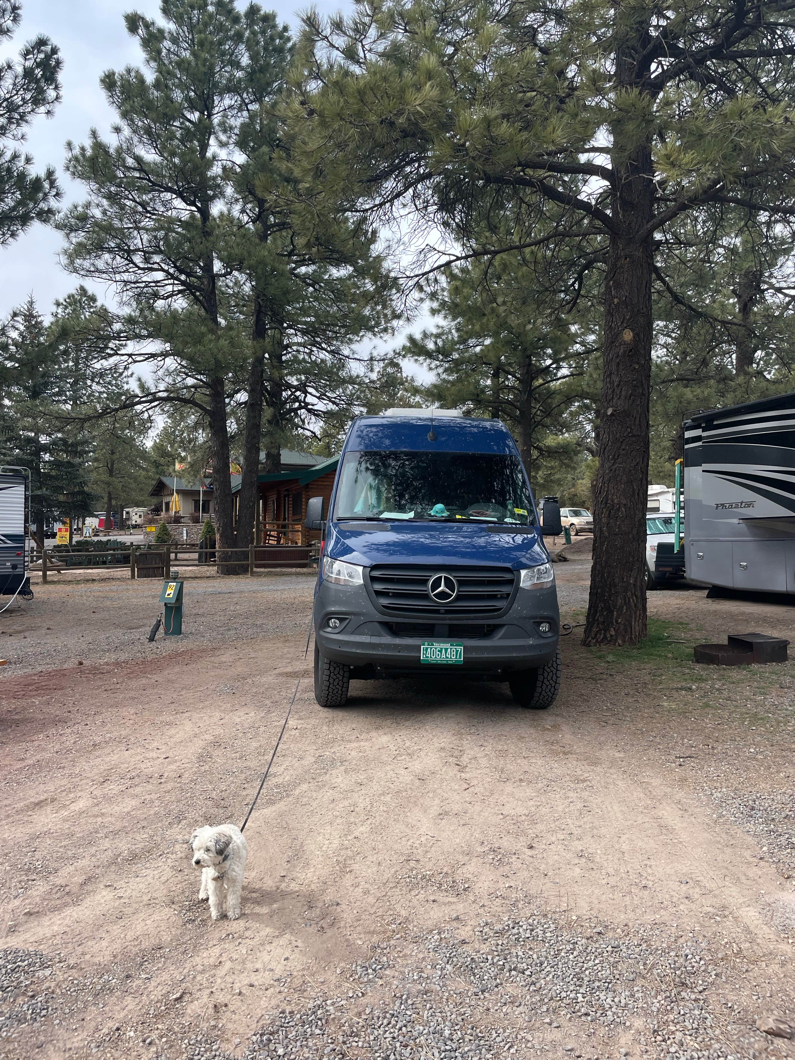 Rowan B.'s photo of camping with pets at Williams-Circle Pines KOA near Williams, AZ