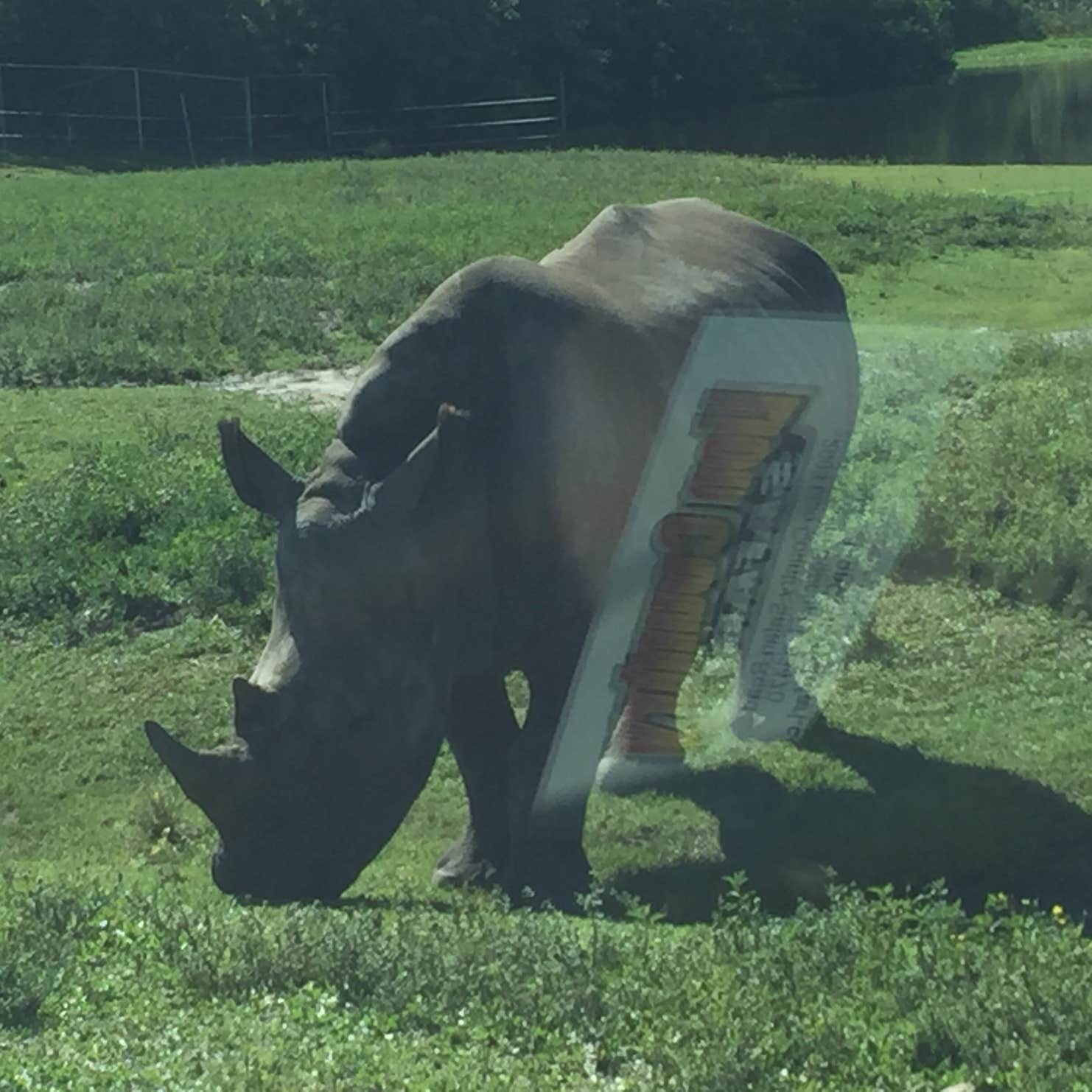 West Palm BeachLion Country Safari KOA Camping Loxahatchee, FL The