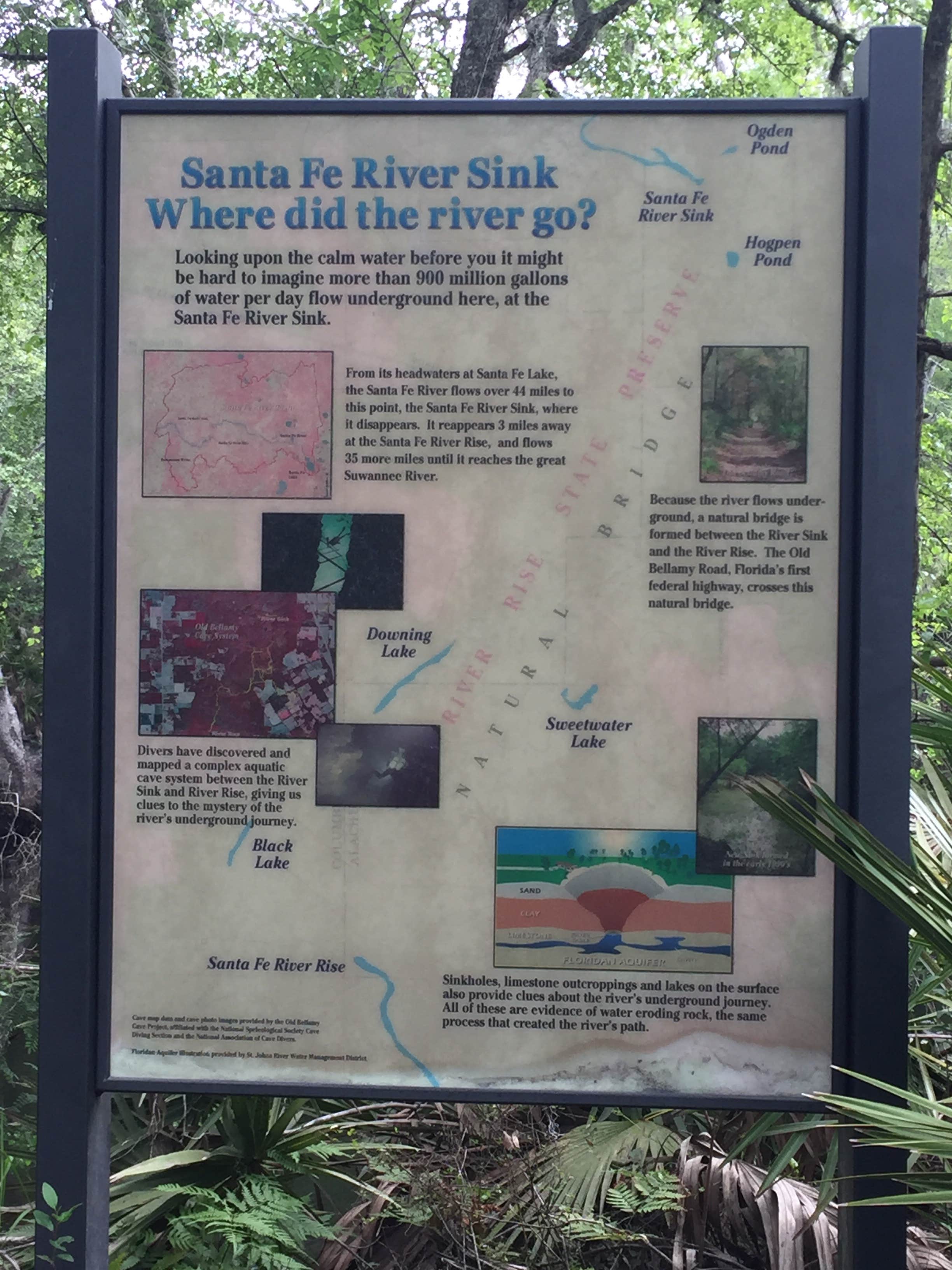 Camper submitted image from Magnolia Campground — O'Leno State Park - 3