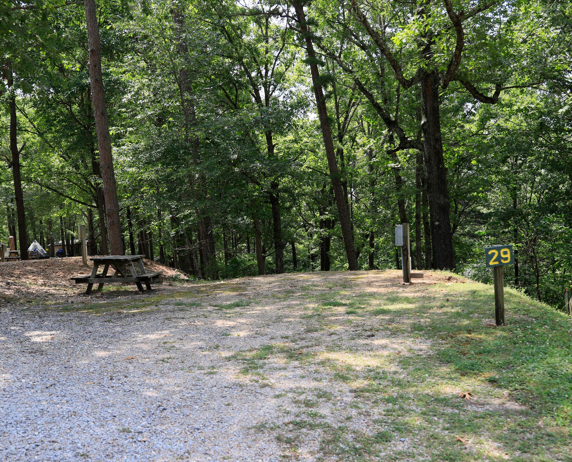 Tall Pines Campground