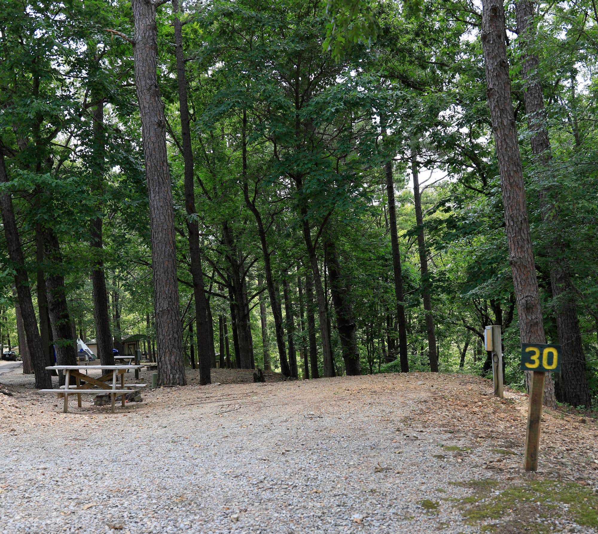 Tall Pines Campground