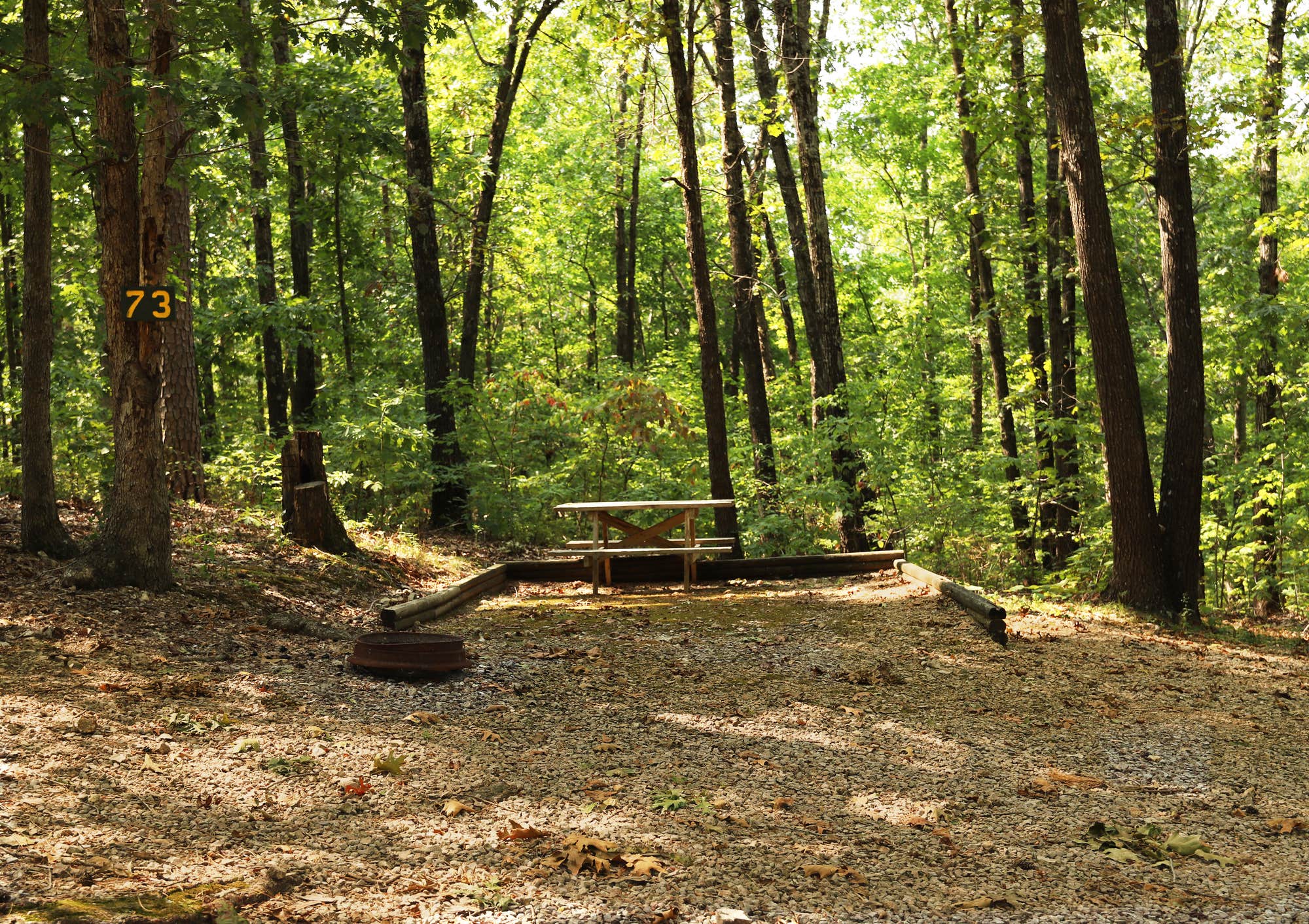 Tall Pines Campground