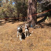 Review photo of Stone Creek Campground — Mount San Jacinto State Park by Brittany N., October 3, 2018