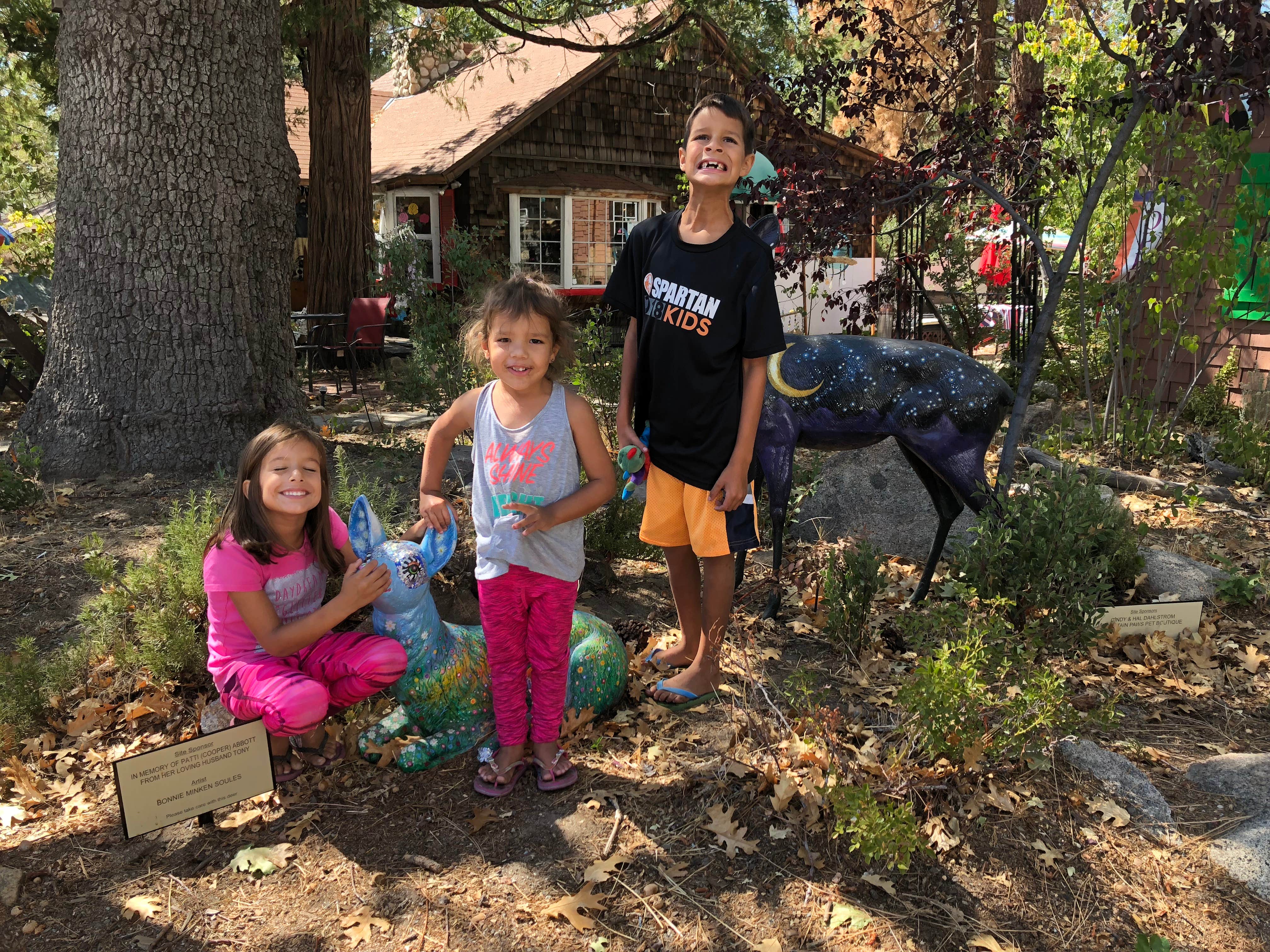Camper-submitted photo at Stone Creek Campground — Mount San Jacinto State Park near San Jacinto, CA