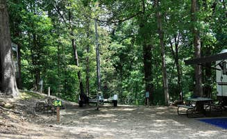 The Dyrt's photo at Tall Pines Campground near Rockaway Beach, MO