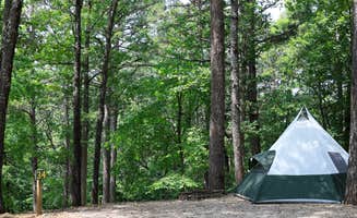 The Dyrt's photo at Tall Pines Campground near Forsyth, MO