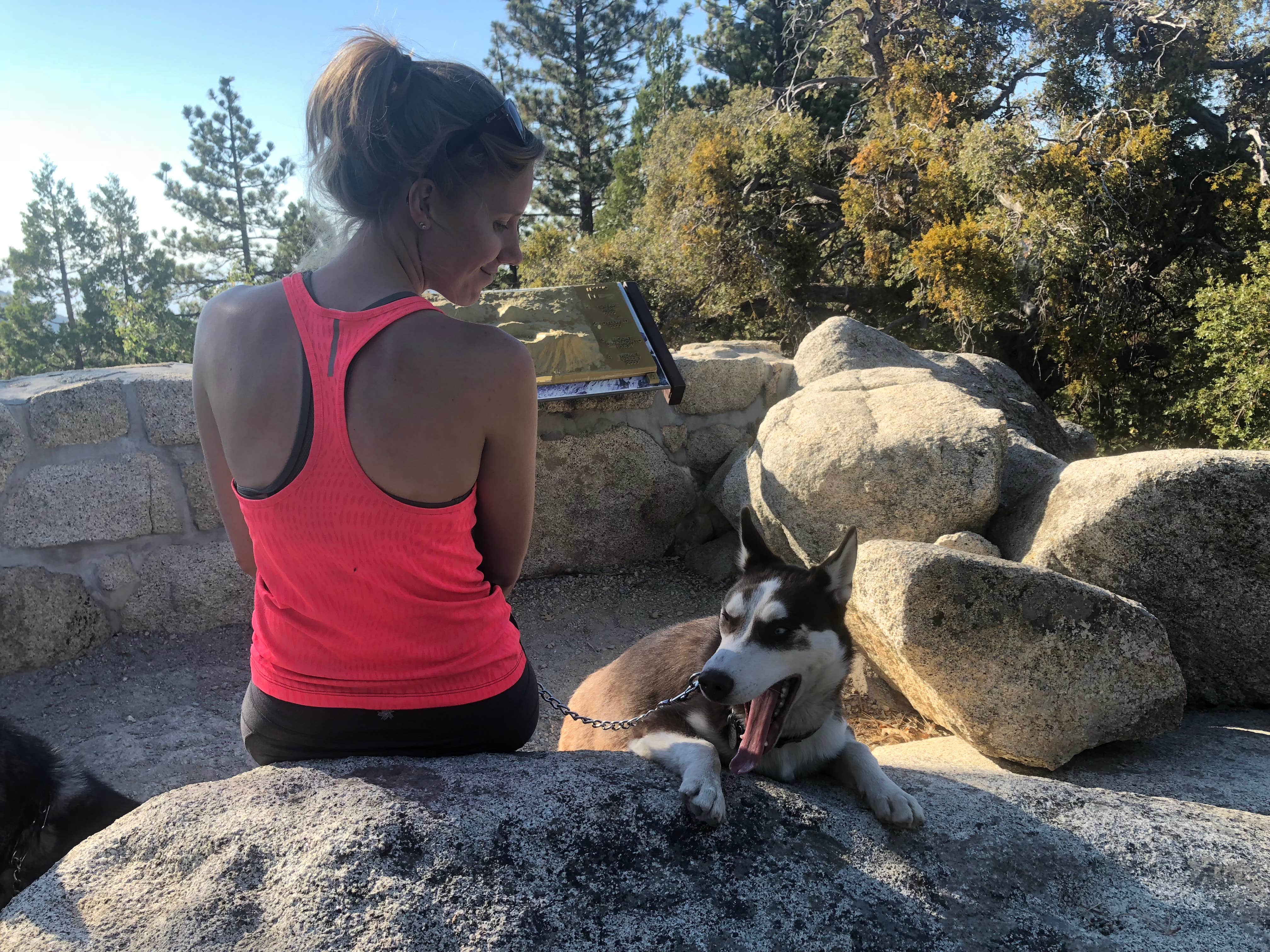 Brittany N.'s photo of camping with pets at Stone Creek Campground — Mount San Jacinto State Park near Idyllwild, CA