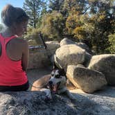 Review photo of Stone Creek Campground — Mount San Jacinto State Park by Brittany N., October 3, 2018