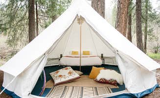 The Dyrt's photo at Mill Creek Resort near Shingletown, CA