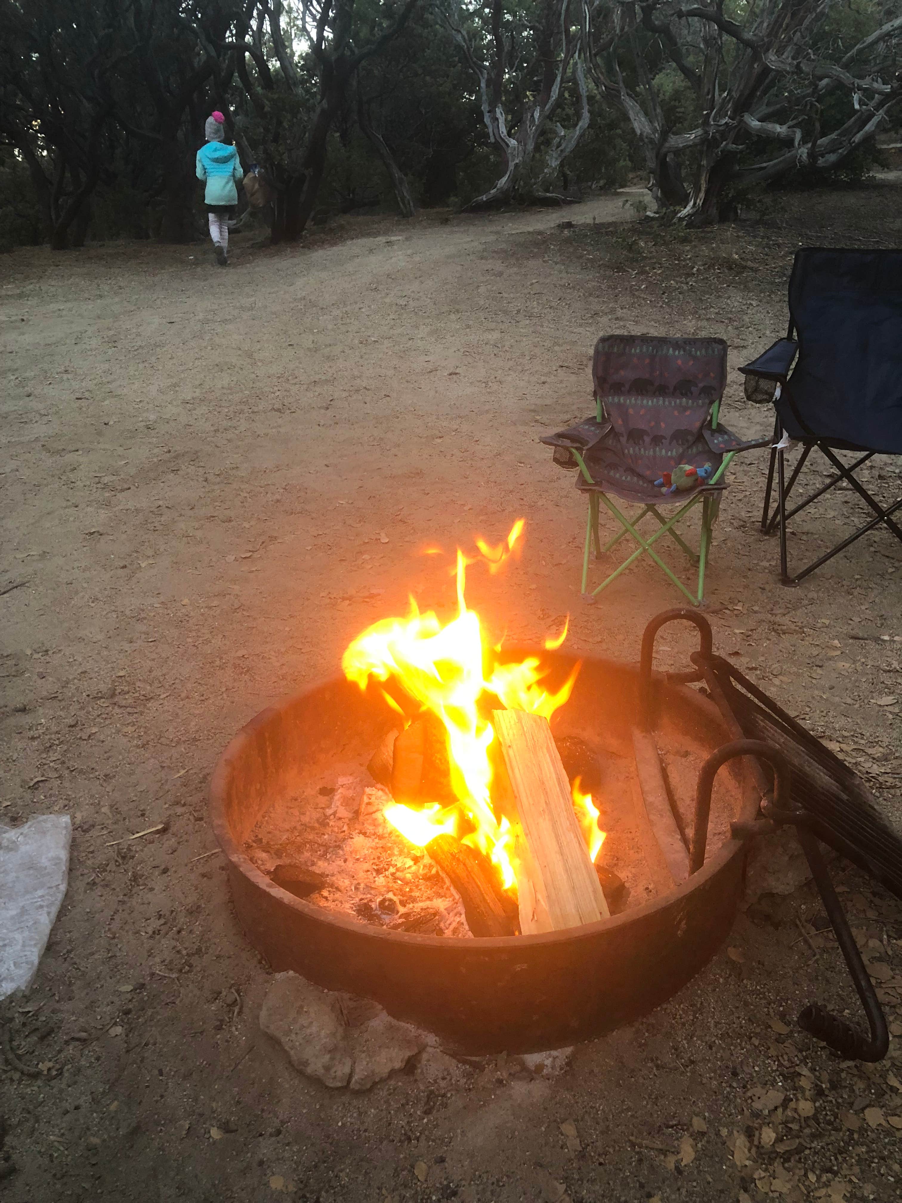 Camper submitted image from Stone Creek Campground — Mount San Jacinto State Park - 2