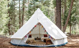 The Dyrt's photo at Mill Creek Resort near Mill Creek, CA