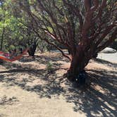 Review photo of Stone Creek Campground — Mount San Jacinto State Park by Brittany N., October 3, 2018