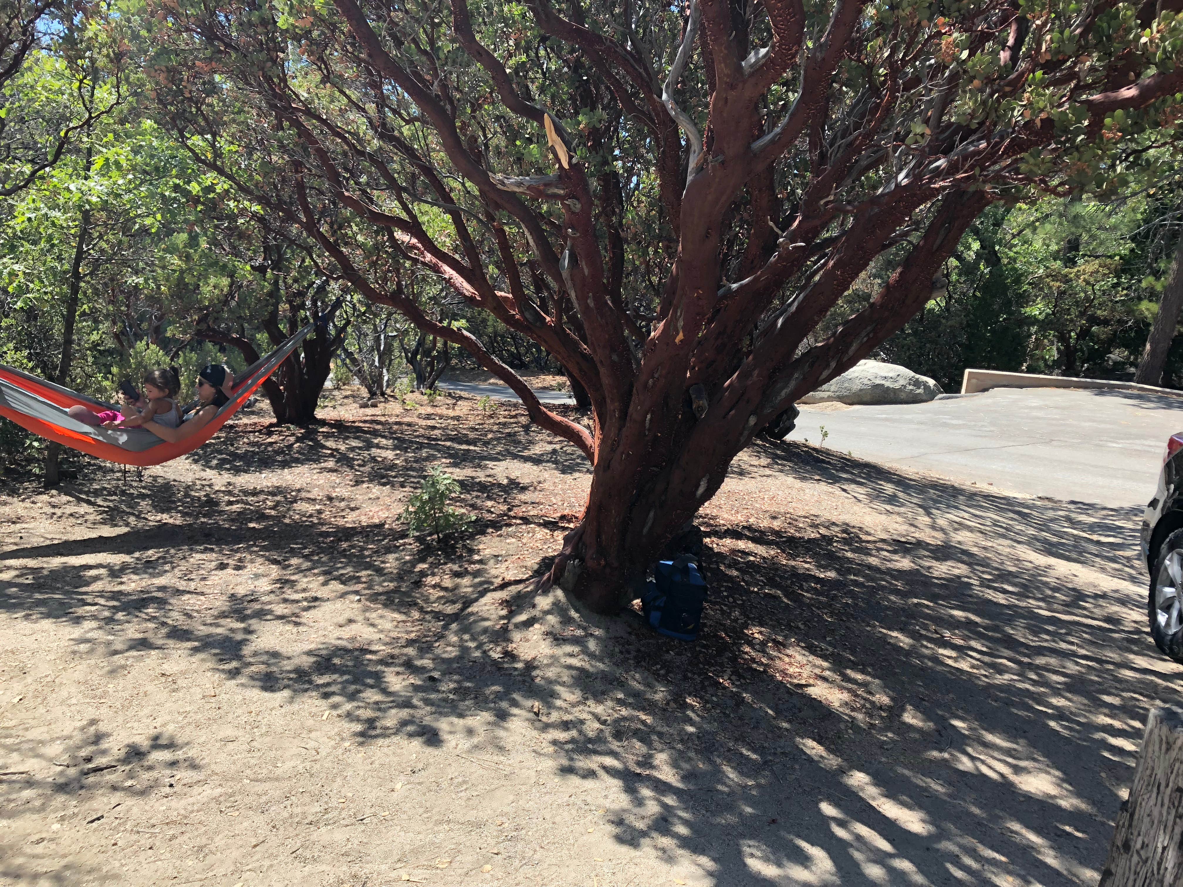 Camper submitted image from Stone Creek Campground — Mount San Jacinto State Park - 5